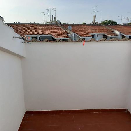 Roma A Un Passo E Il Mare In Casa Daire Marina di Cerveteri Dış mekan fotoğraf