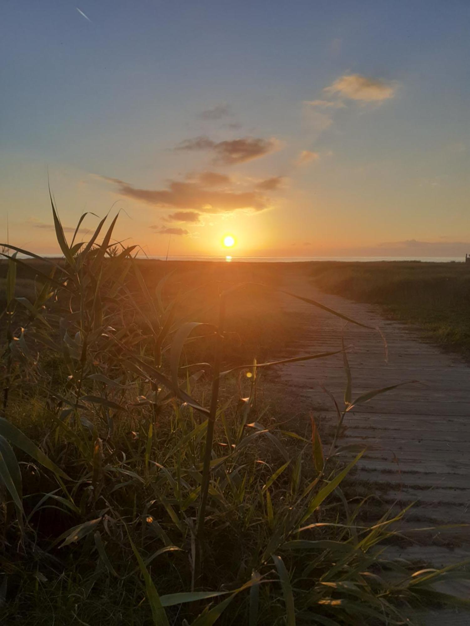 Roma A Un Passo E Il Mare In Casa Daire Marina di Cerveteri Dış mekan fotoğraf